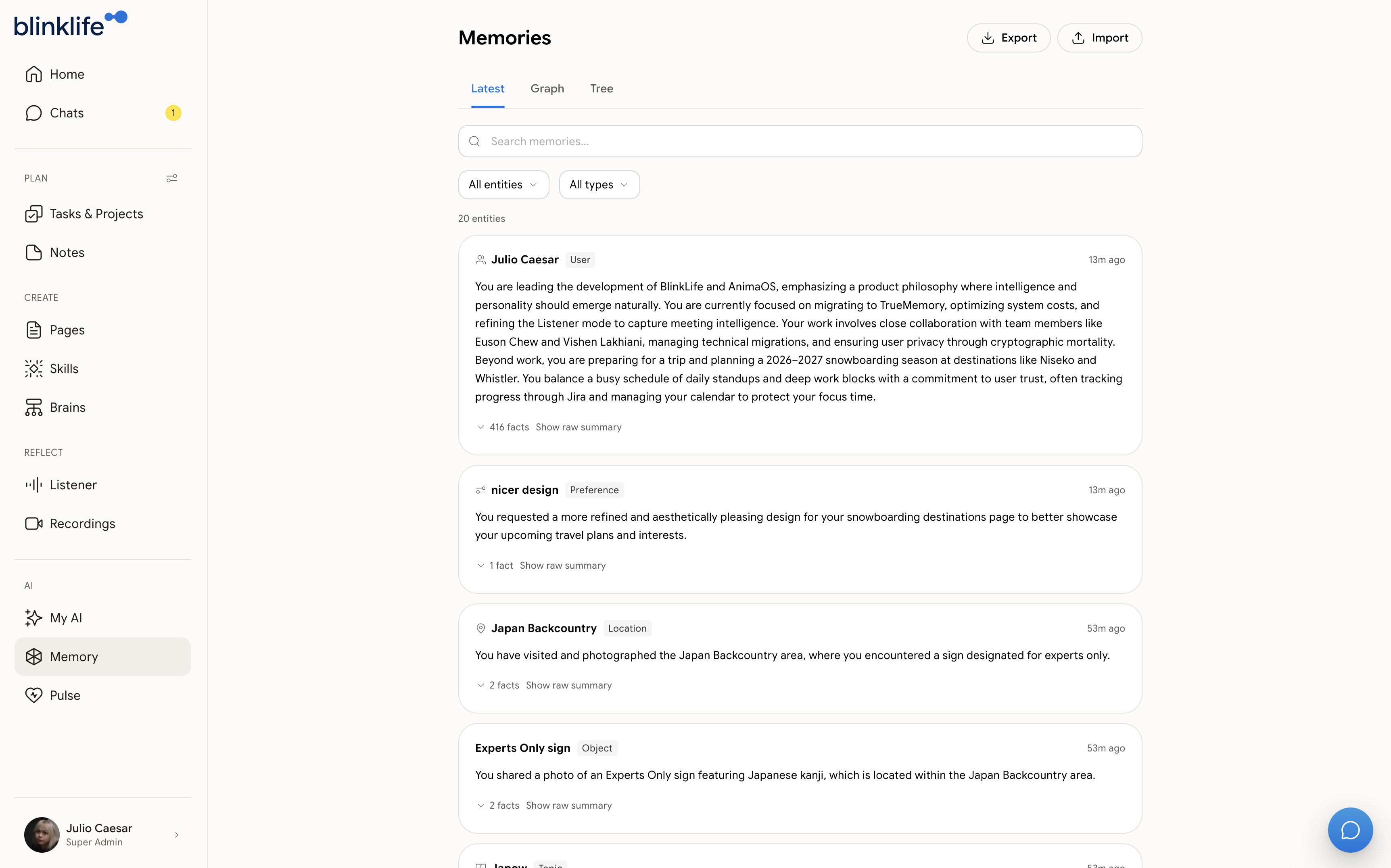 Memory page — Latest view showing entity cards